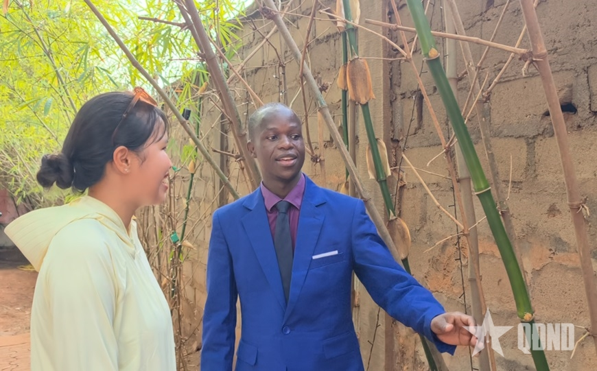 In search of green bamboo - the final piece of Vietnamese Tet in Central Africa
